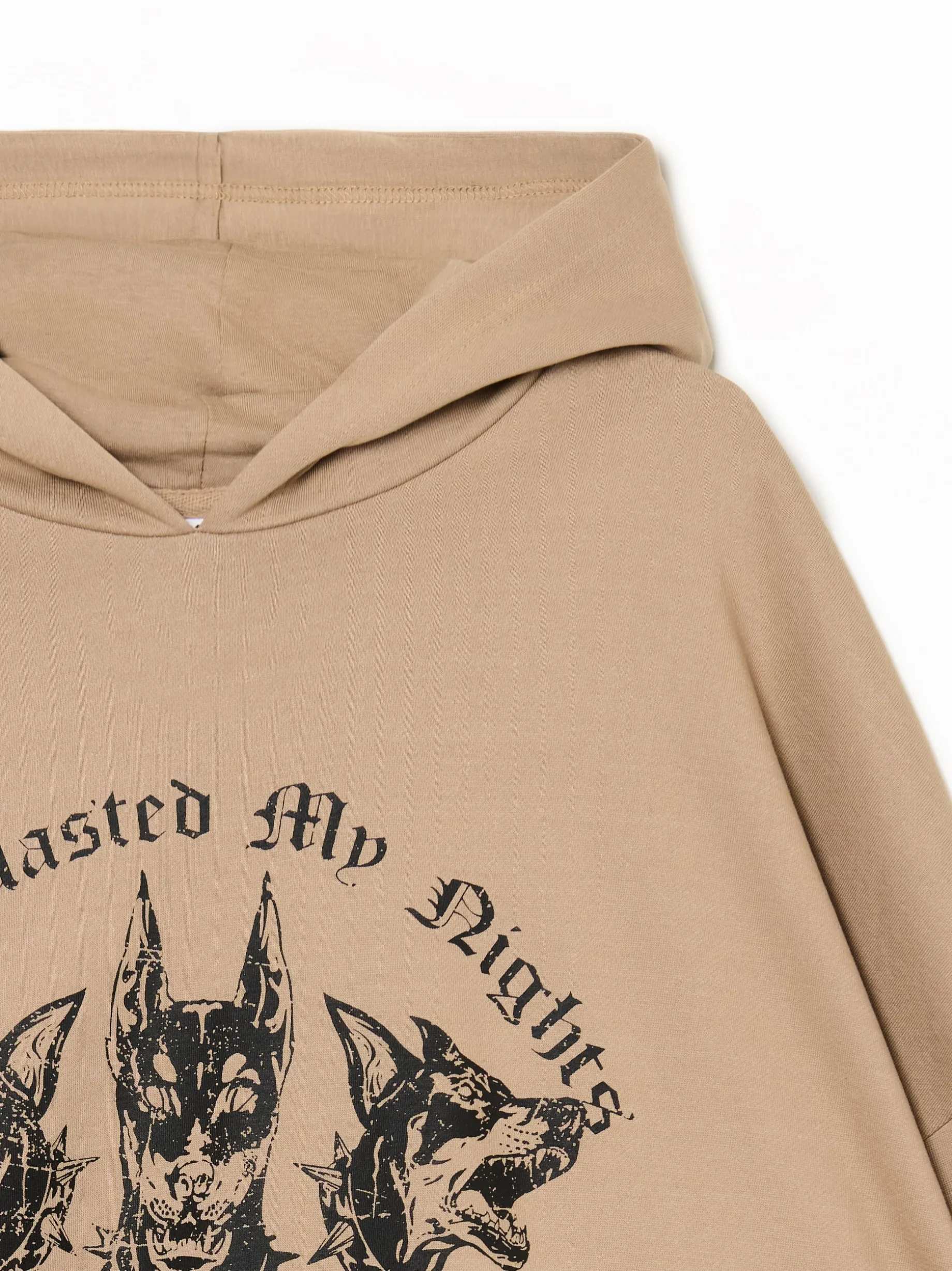 Brązowa bluza hoodie z dobermanami UNISEX